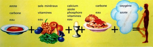 Les Combustibles