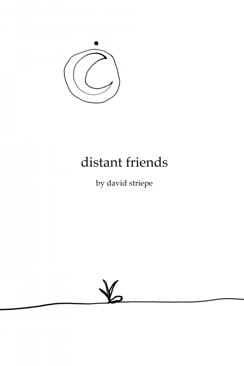 distand friends revised cover