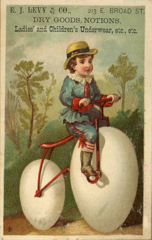 Egg Bike