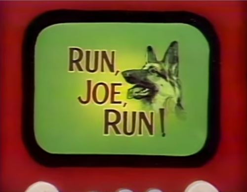 run joe run